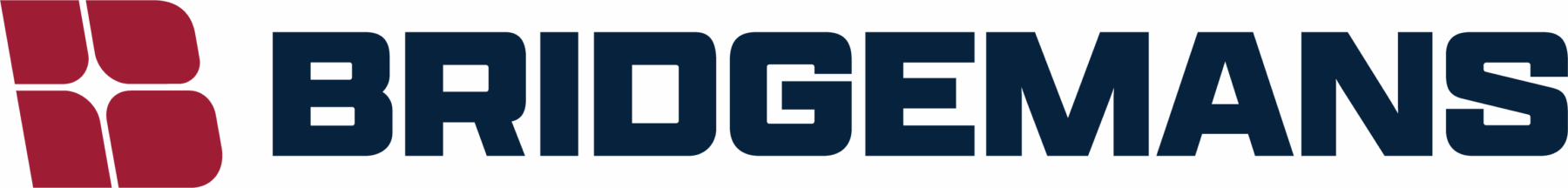 Bridgemans Services Group (BSG)